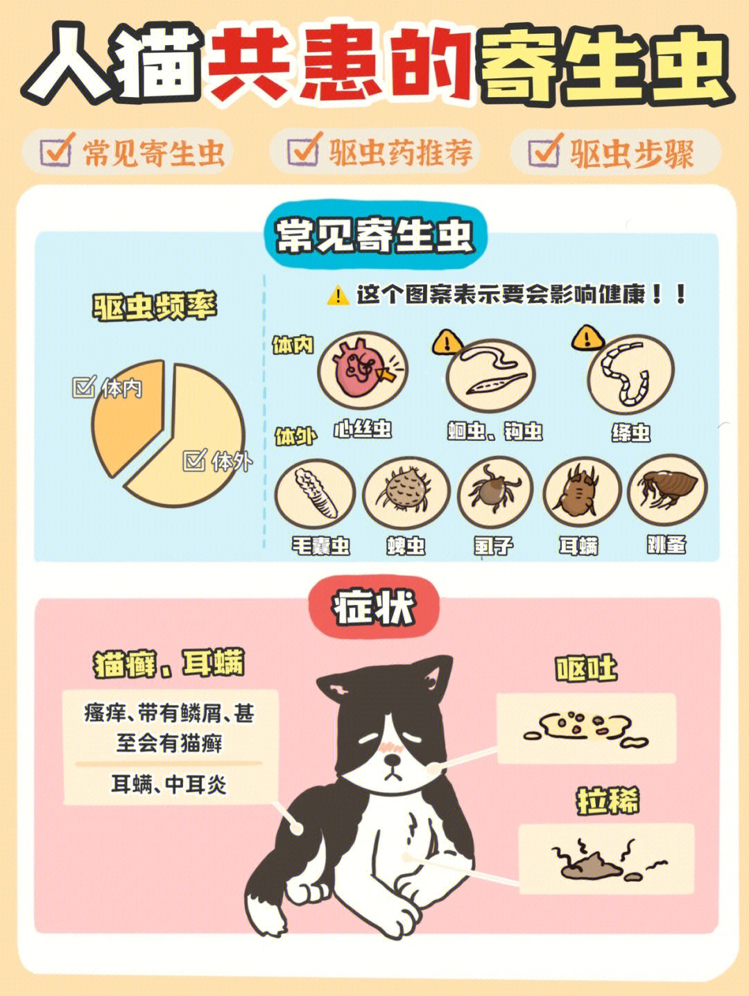 猫寄生虫会传染给人吗图片