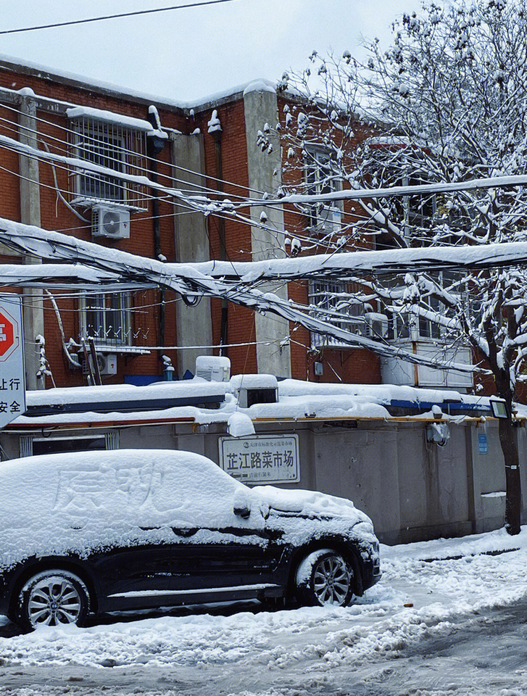 天津初雪