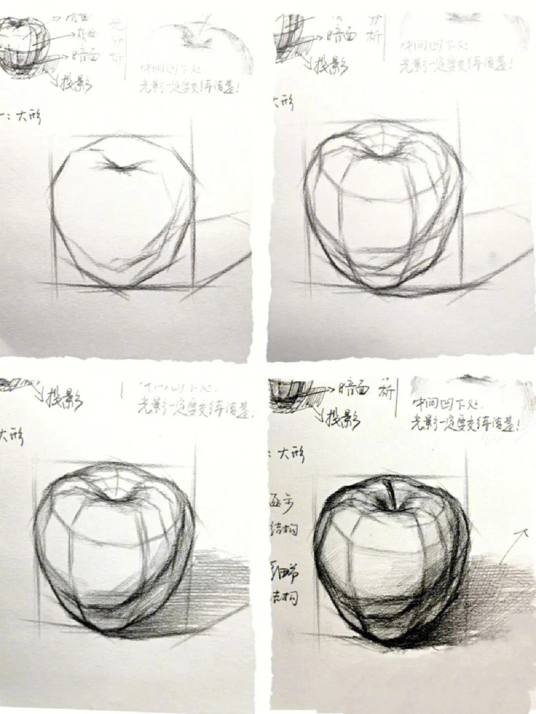 素描苹果结构解析图图片