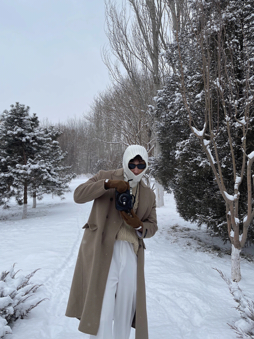 powdersnow吉他谱图片