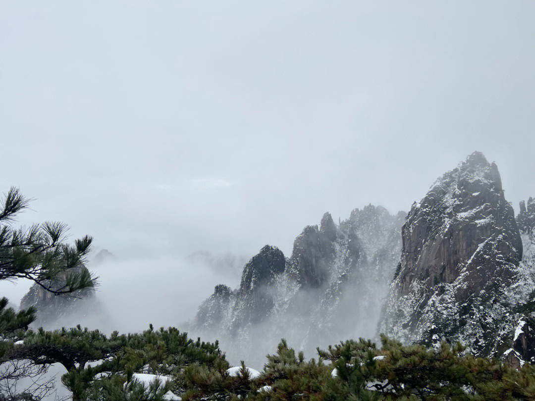 雨中云雾缭绕的黄山图片