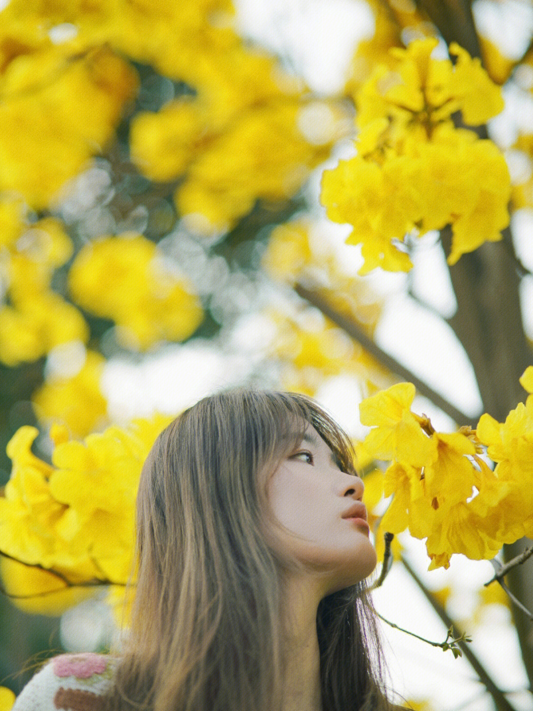 穿花衣赴花期图片