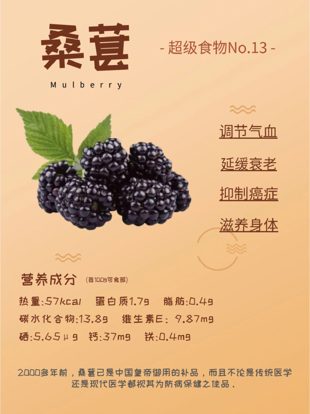 超级食物桑葚mulberry