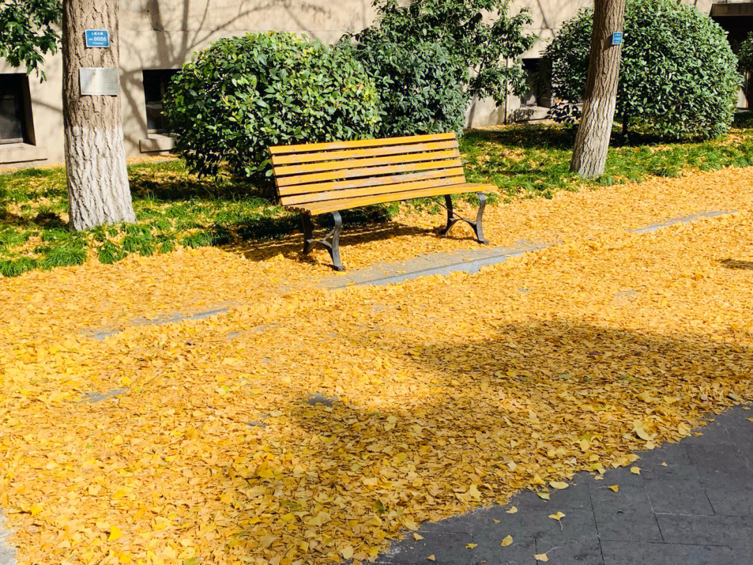 天台新城广场图片