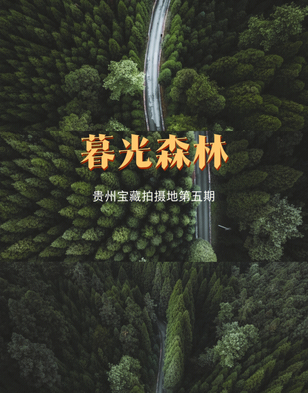 贵州贵州版暮光森林