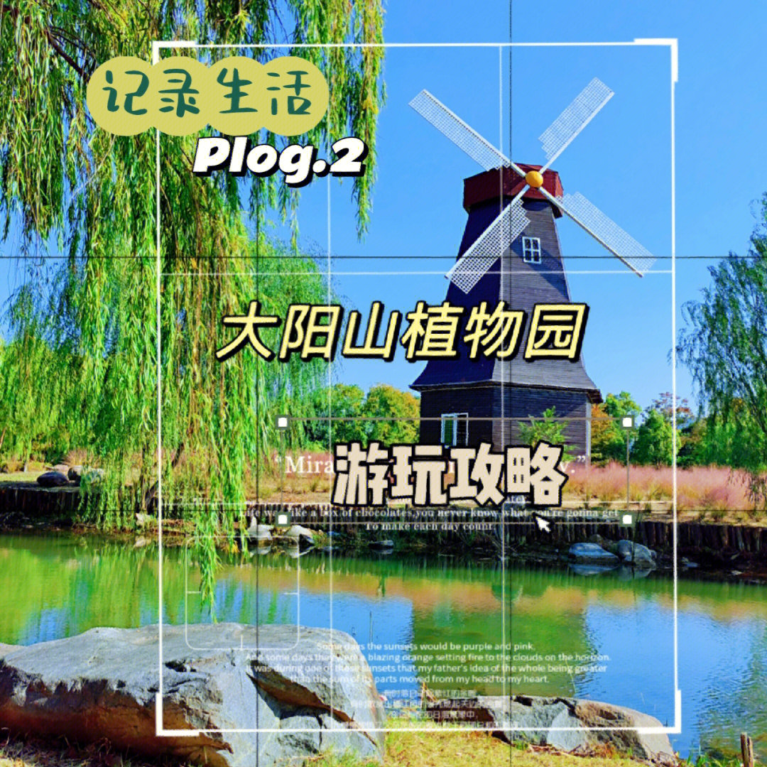 苏州大阳山植物园游记图片