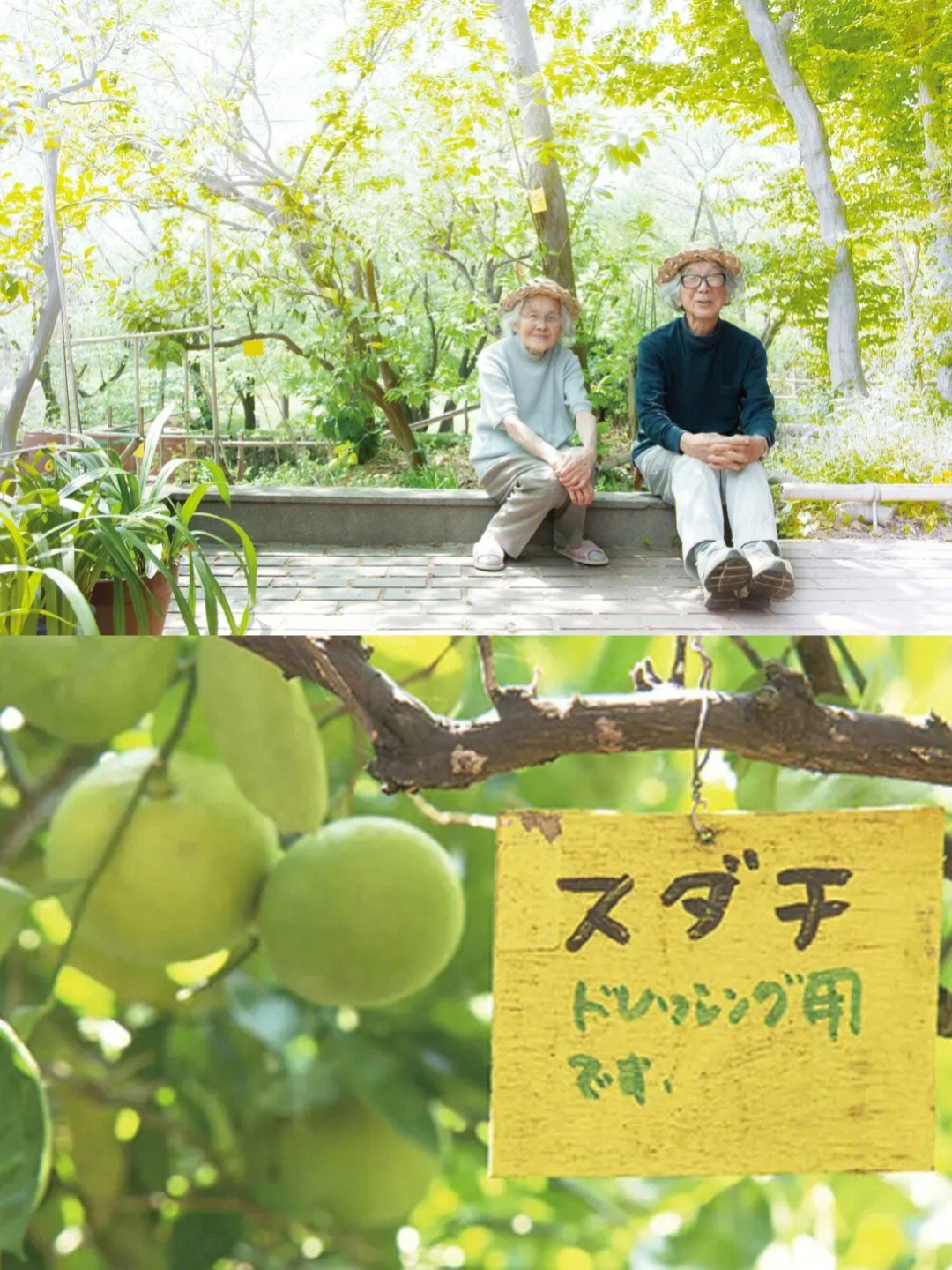 日本纪录片小森林图片