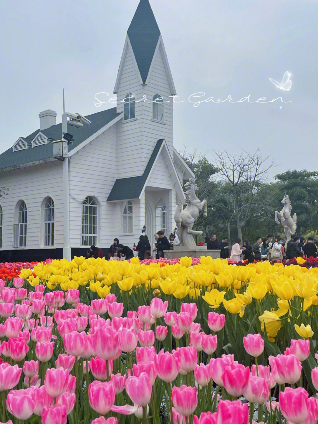 郁金香花海厦门园博苑