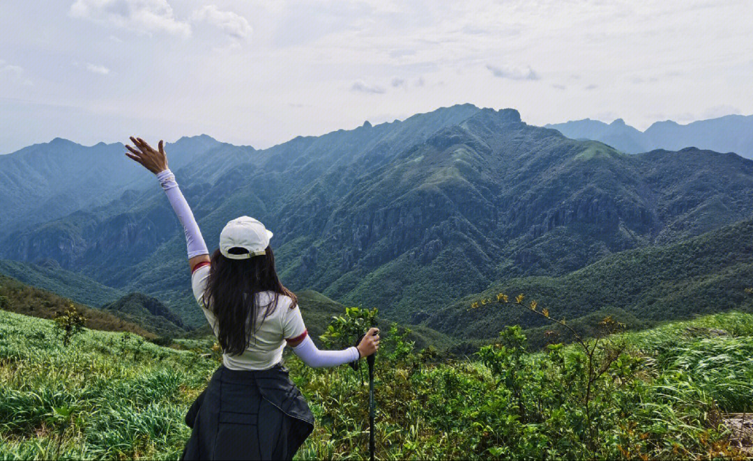 神仙小众山头茶岩顶