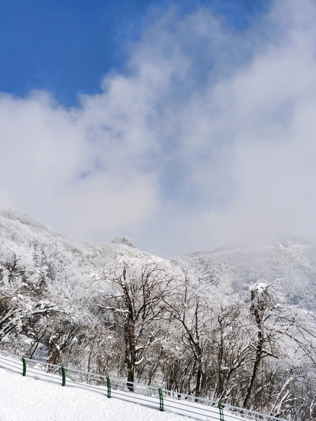 龙头山雪景描写图片