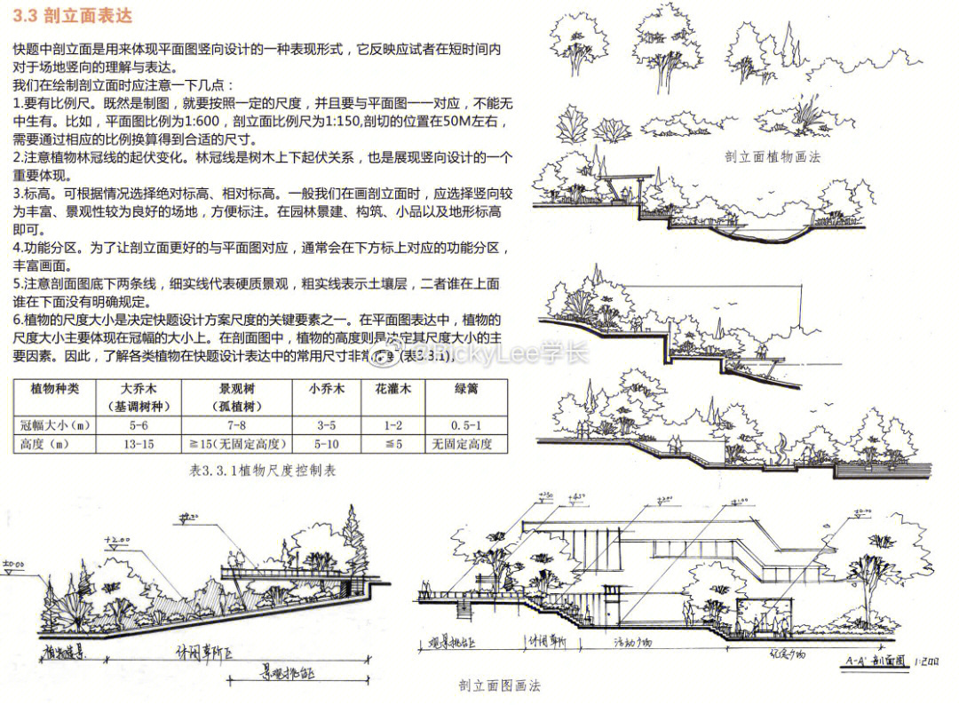 斜坡景观设计平面图图片