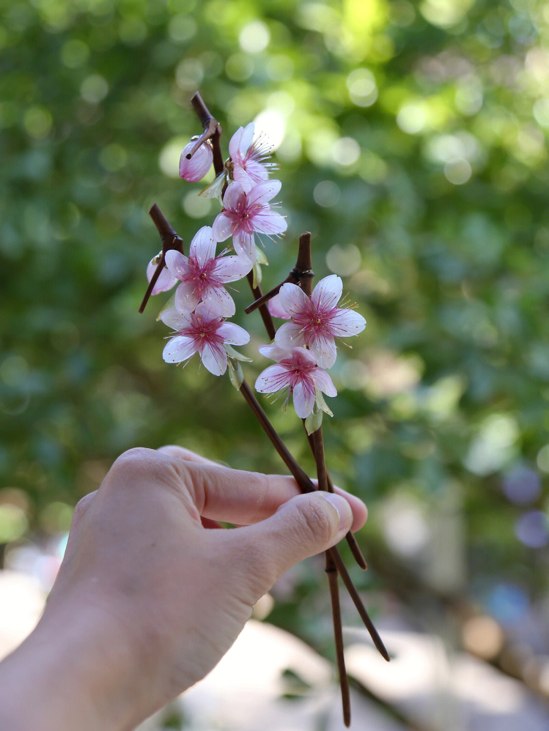 桃花枝热缩发簪桃李春风一杯酒