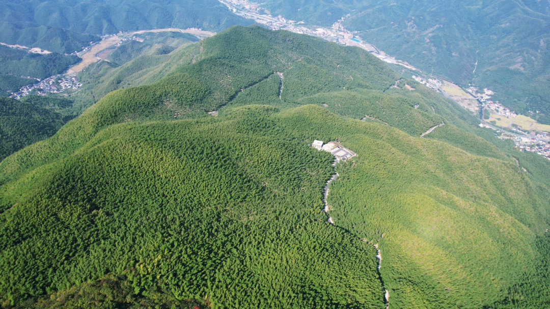 发现一个杭州周边好看的山鸬鸟山