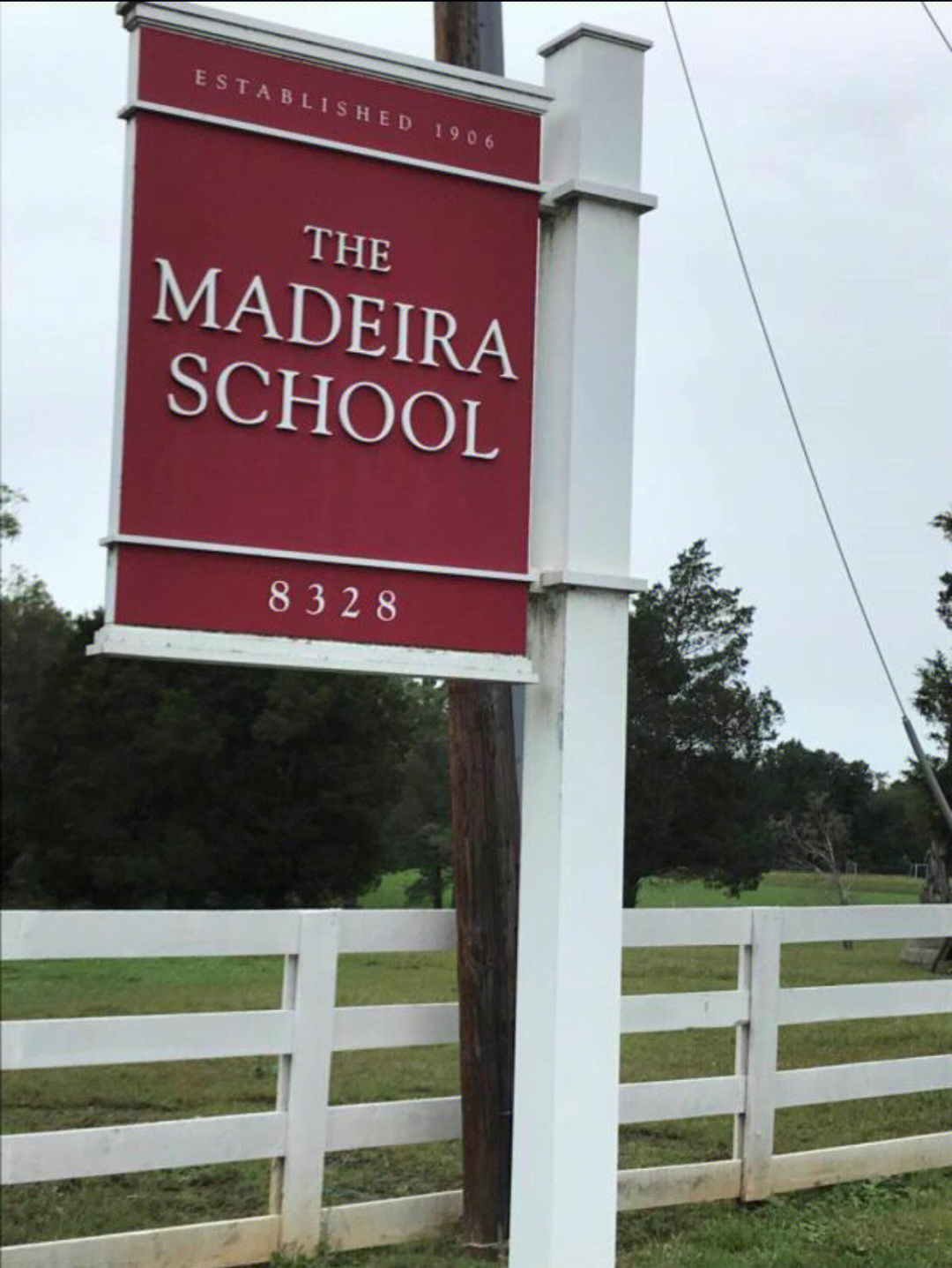 madeiraschool图片