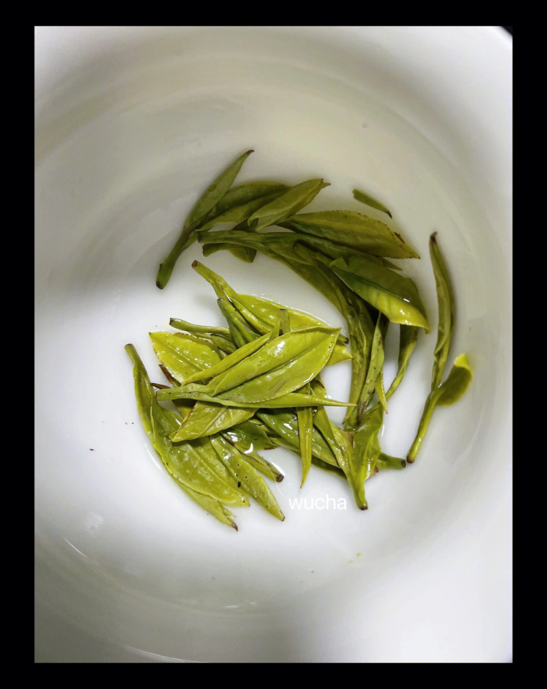 一叶一芽一叶两芽雾茶wucha茶叶青香