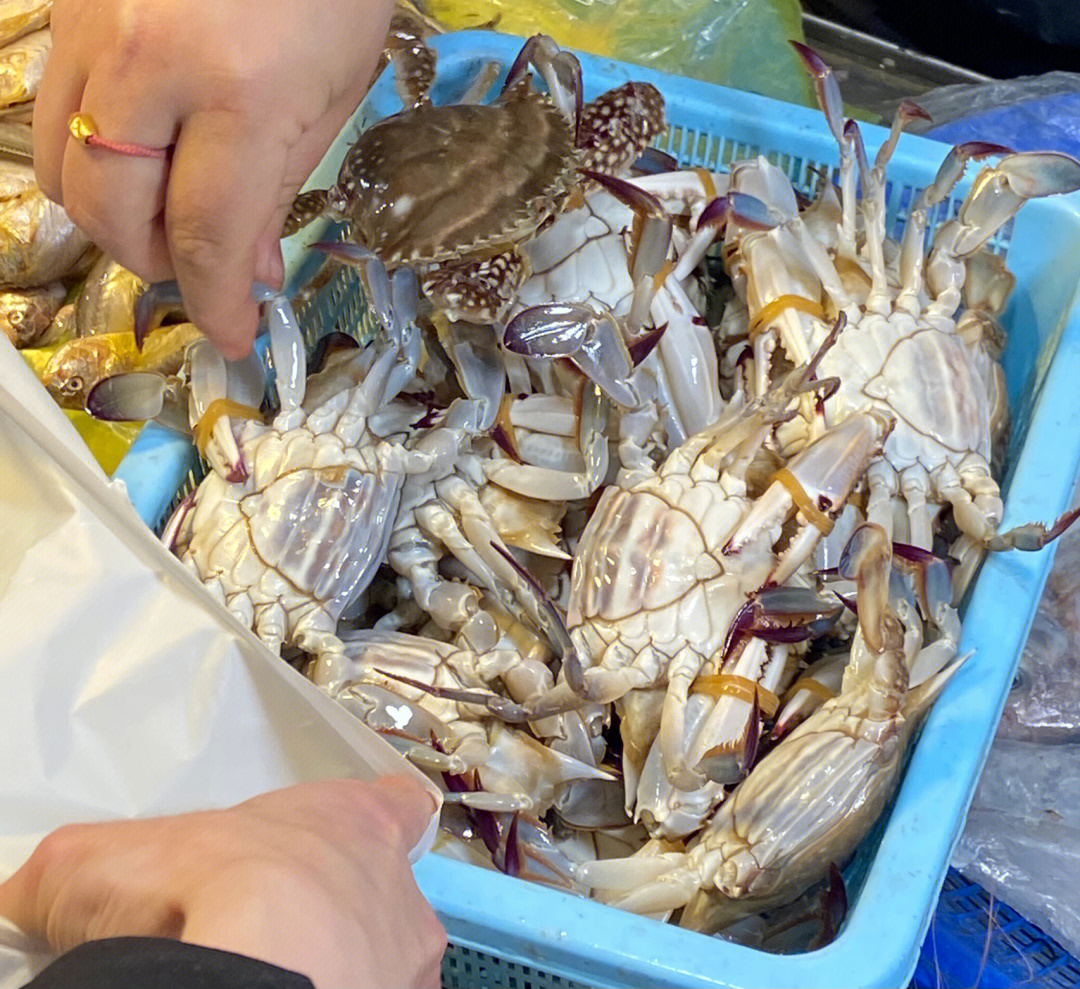 吕四的海鲜味道就是不一样被吕四渔港养刁了的嘴#海鲜#美食日常