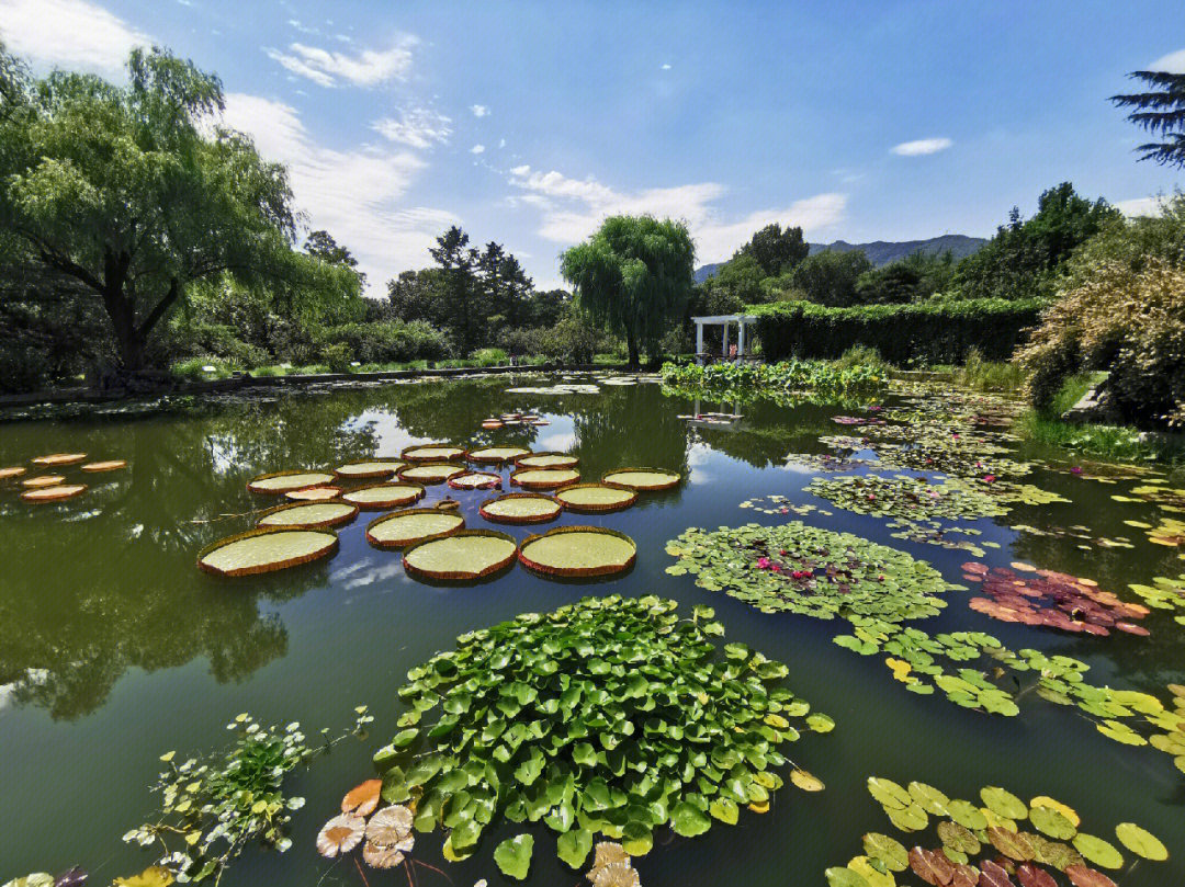 北京植物园全景图图片