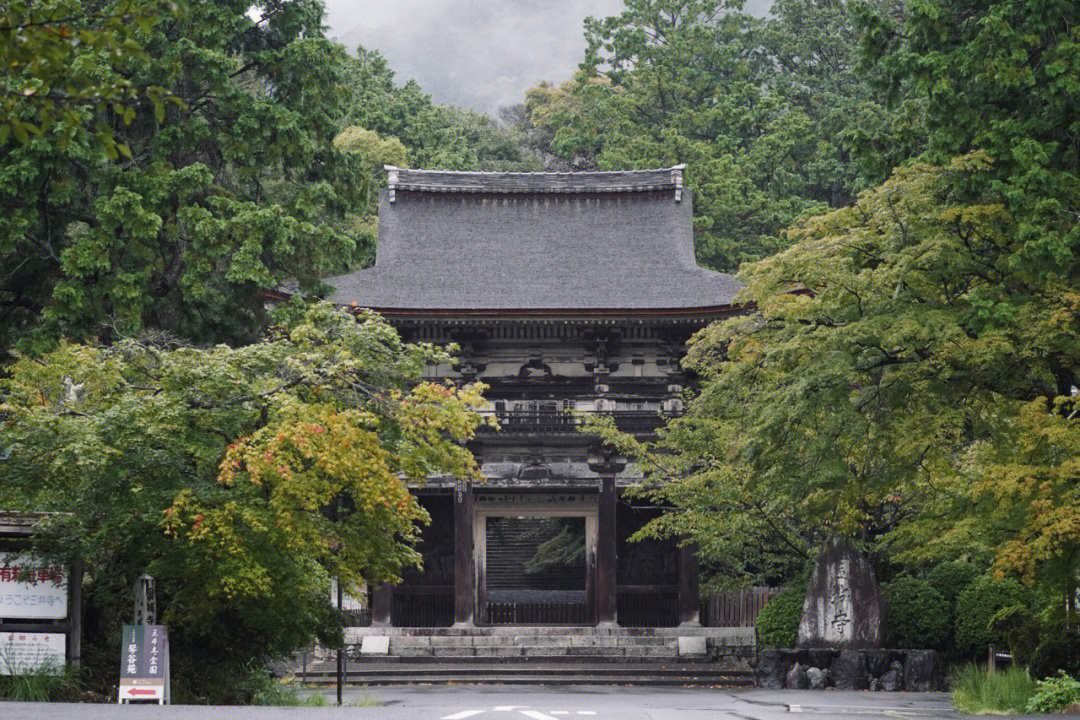 古寺巡禮|藤R園城寺