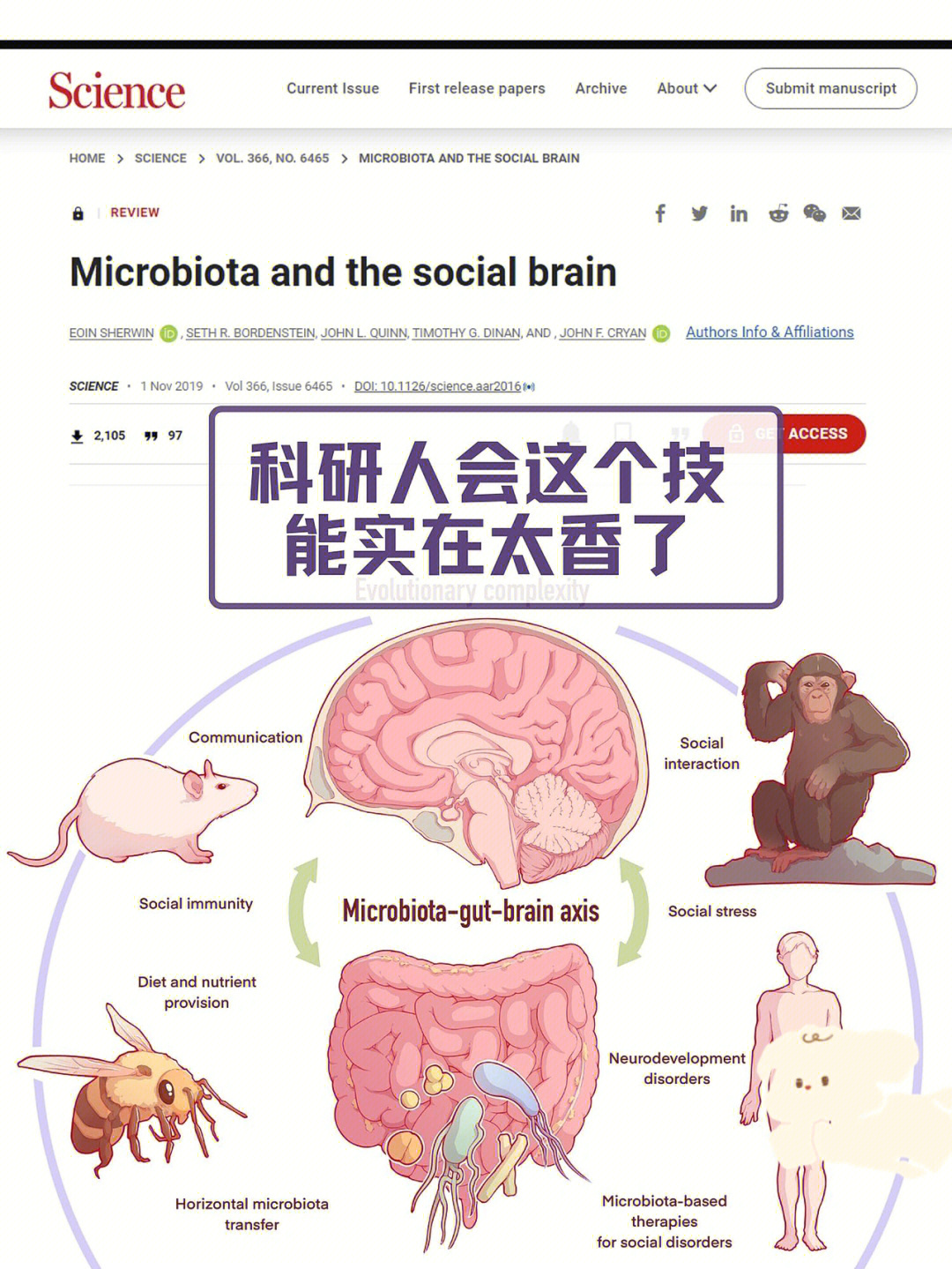 论文配图要求图片