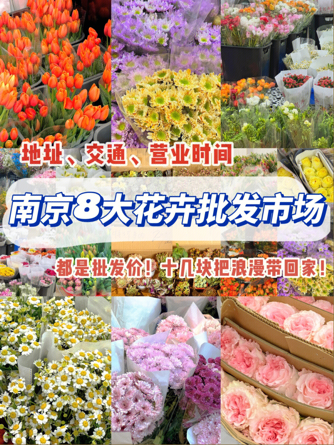南京八大花卉批发市场收藏起来挨个逛