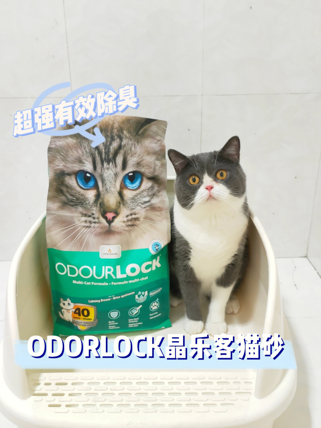 odour plume图片