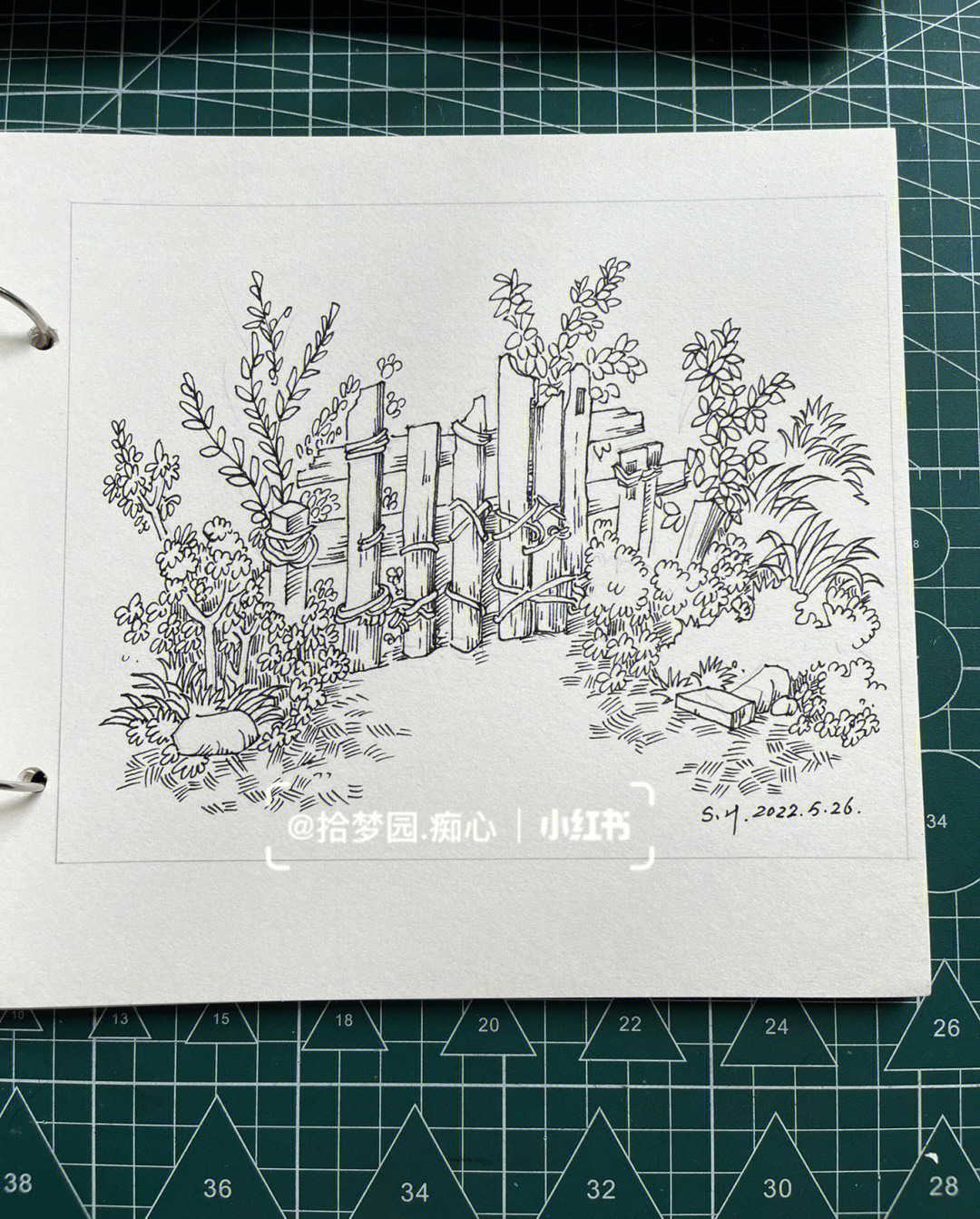 菊篱笆山的素描画图片