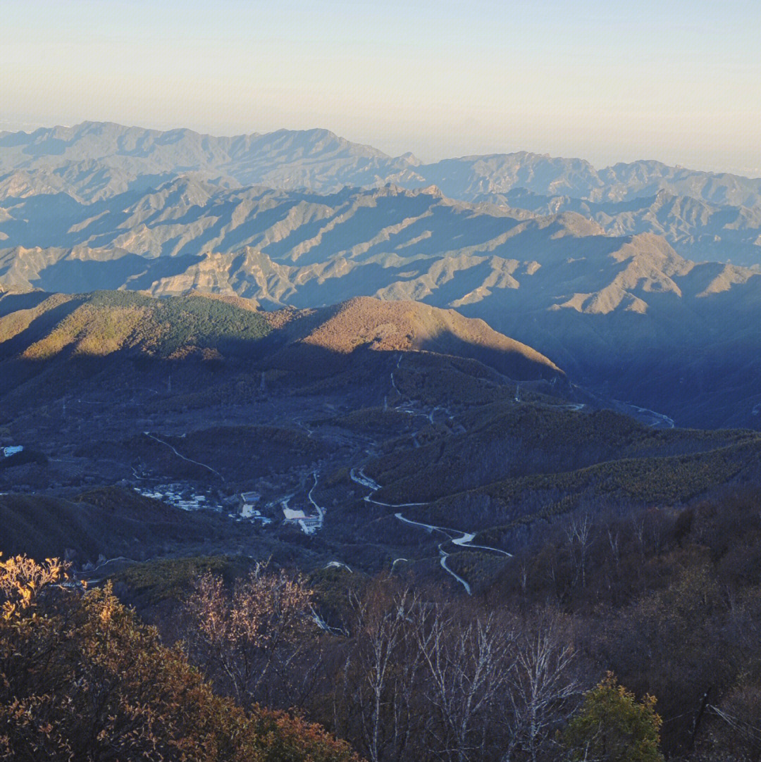 百花山东山坡谁下午去谁是傻子