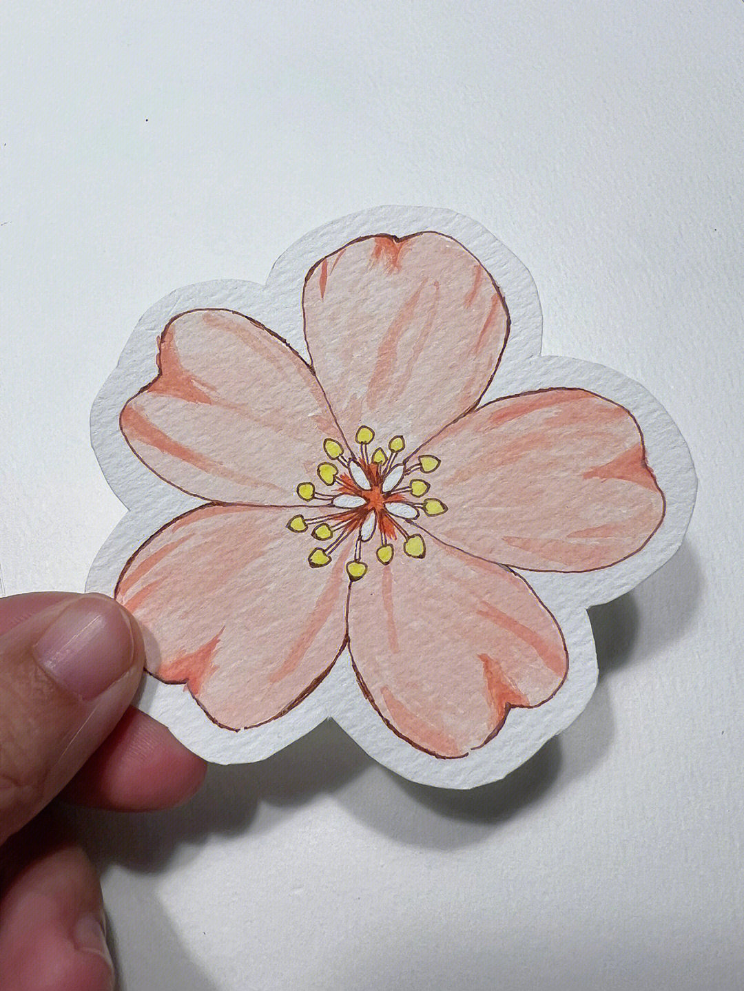 樱花的画法简单又漂亮图片