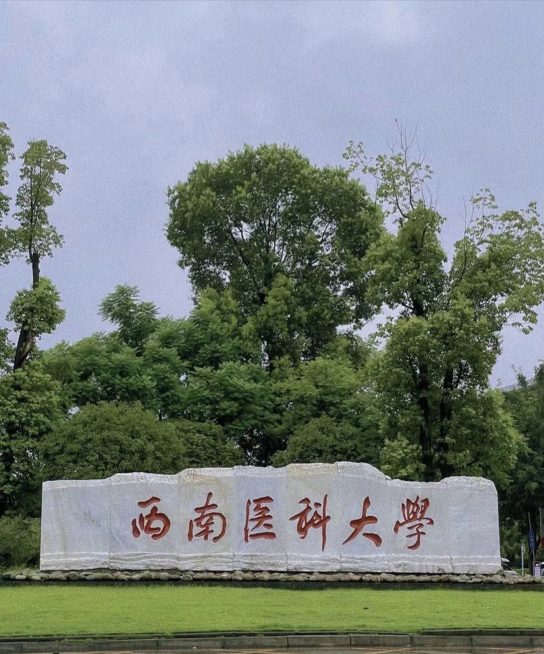 学在西南医路有你西南医科大学欢迎您