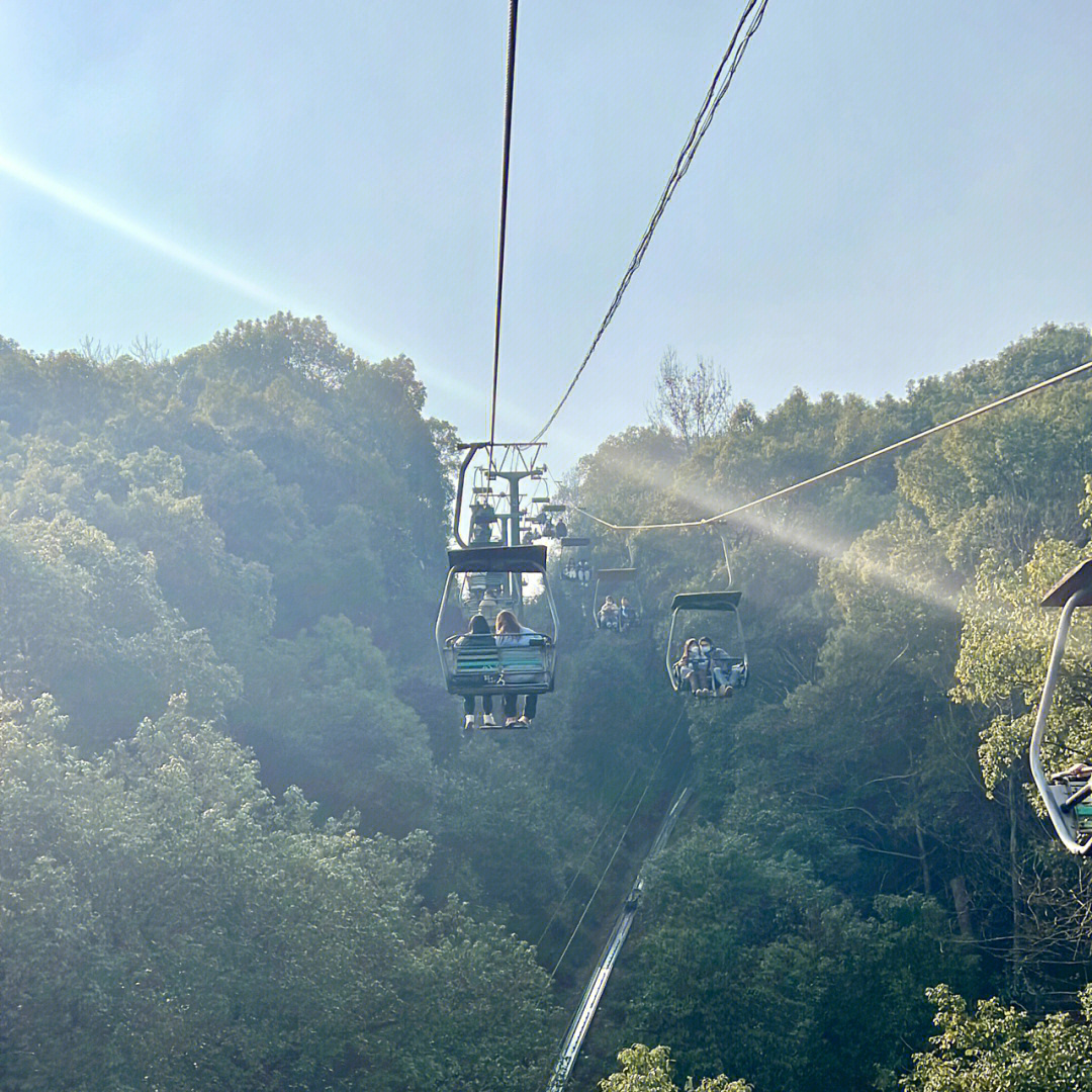 岳麓山缆车大学生图片