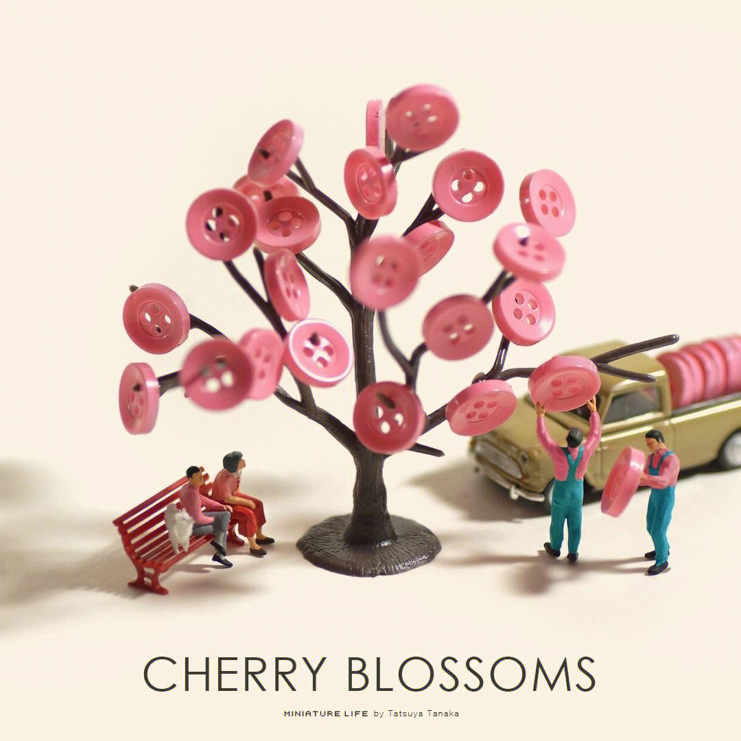 cherryblossoms图片