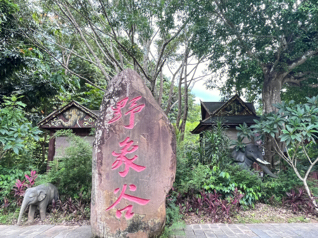 野象谷树上旅馆图片