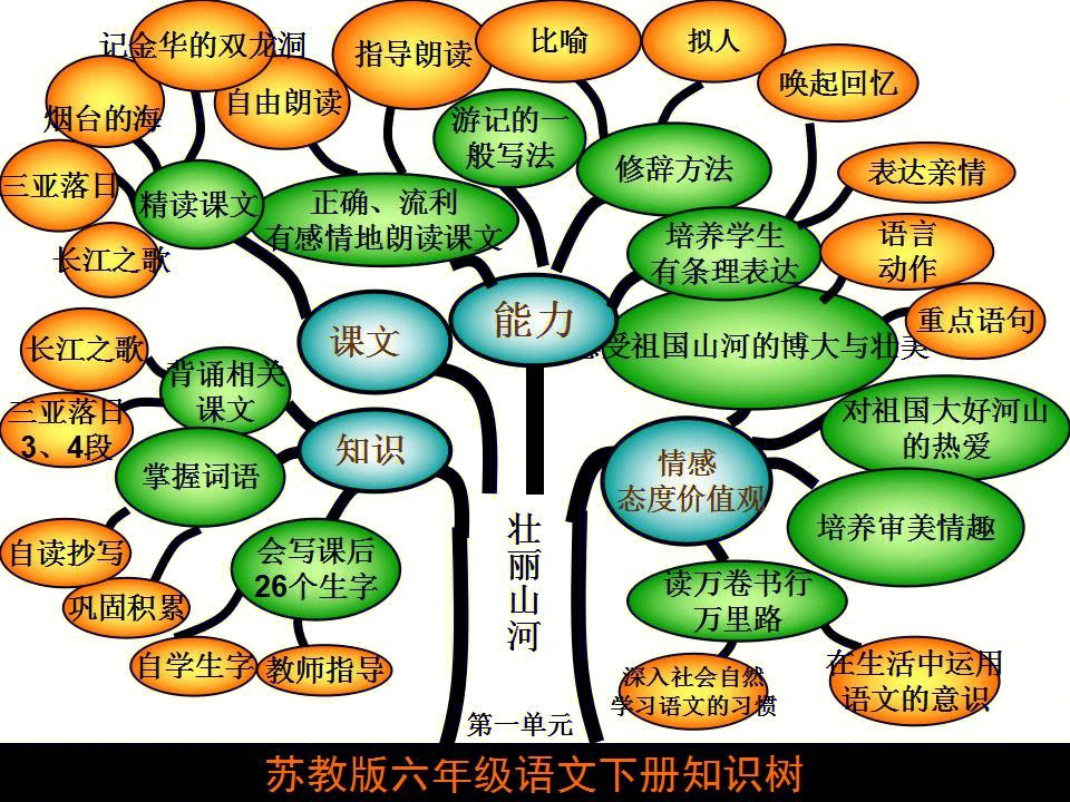 六年级下册语文知识树一