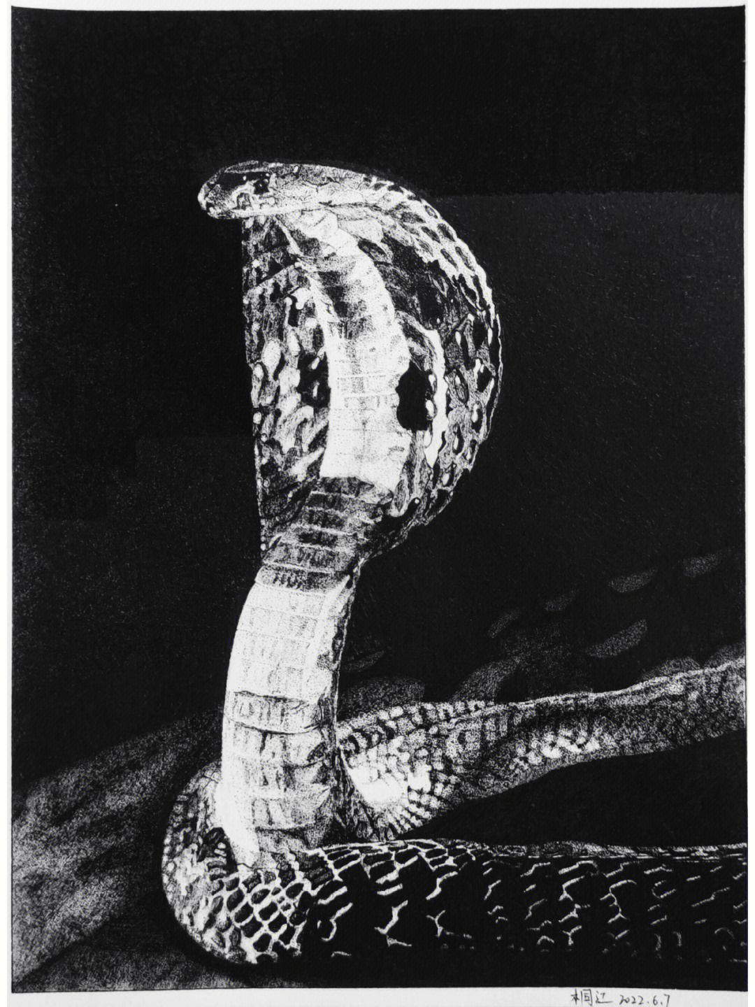 蛇画法写实图片
