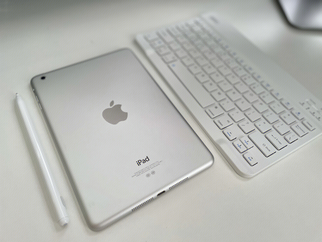 老古董ipadmini2