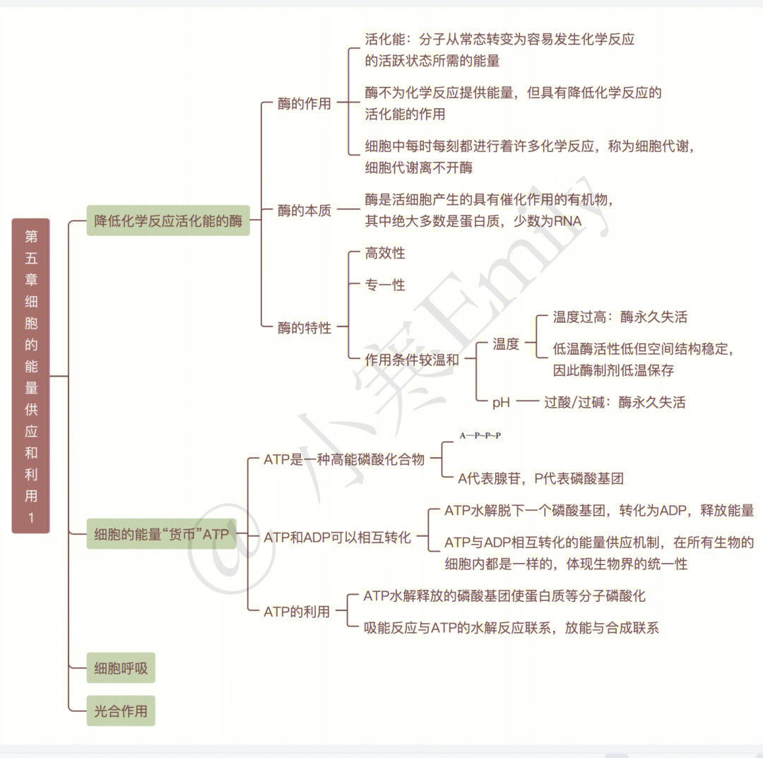 思维导图高中生物新教材必修一第五章