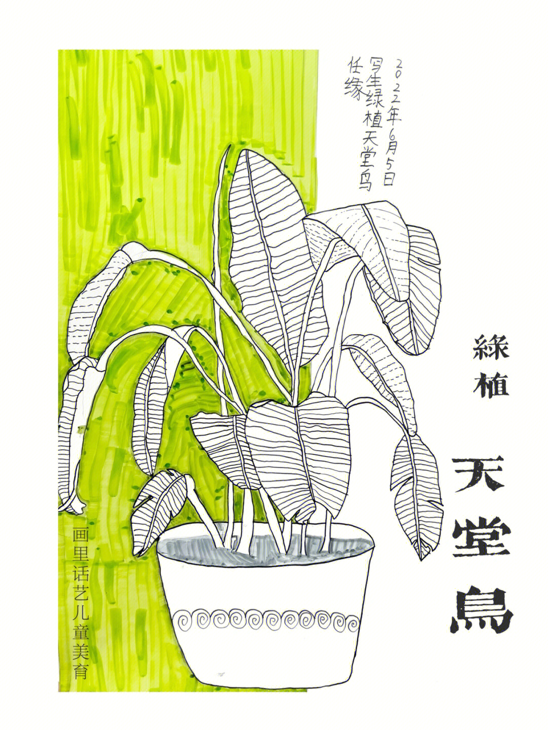 天堂鸟植物简笔画图片