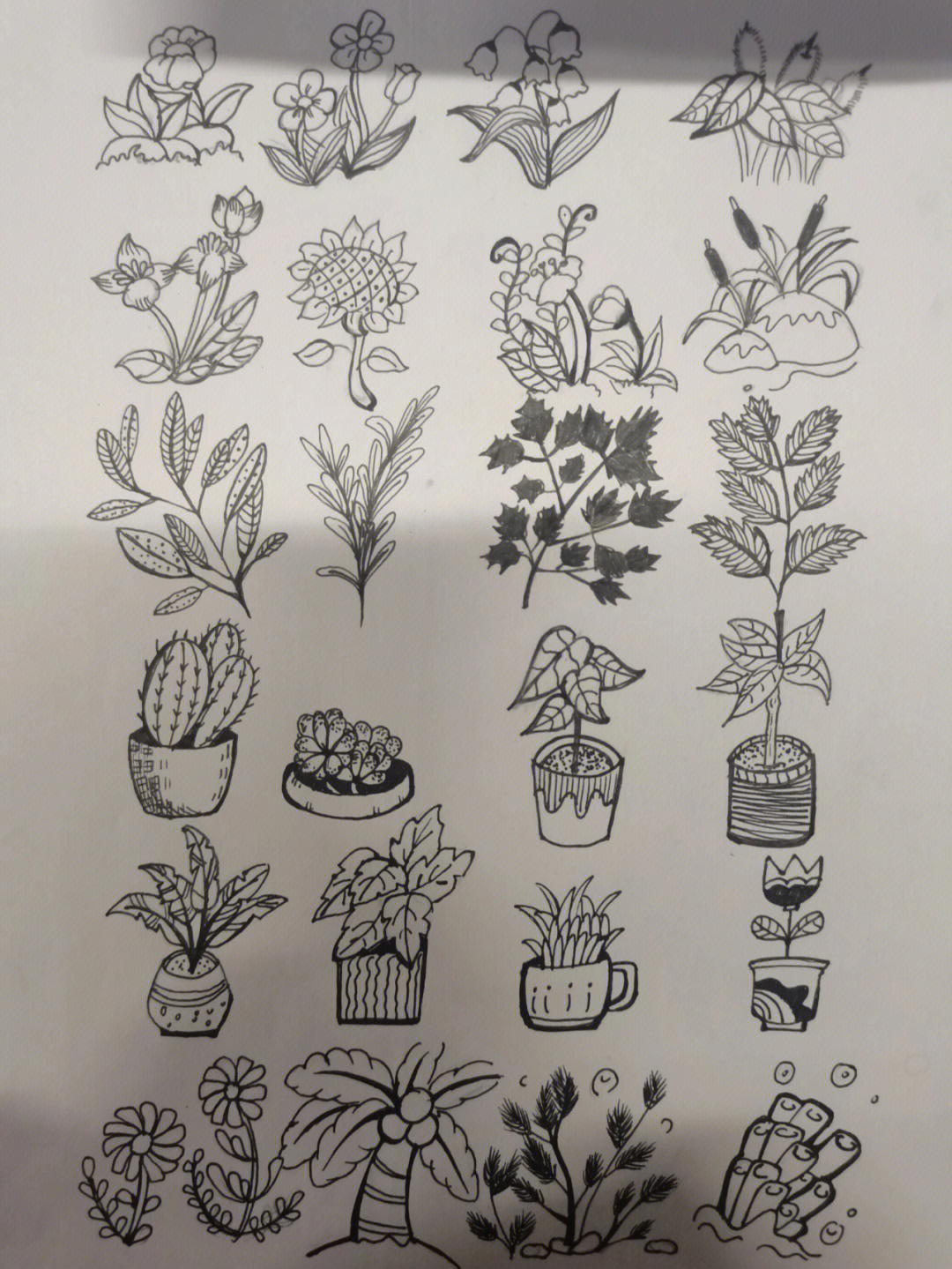 复杂简笔画植物图片
