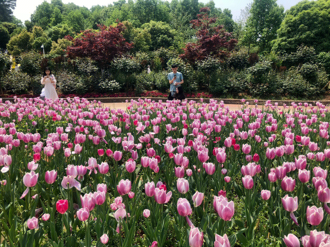 湖南省植物园领导图片