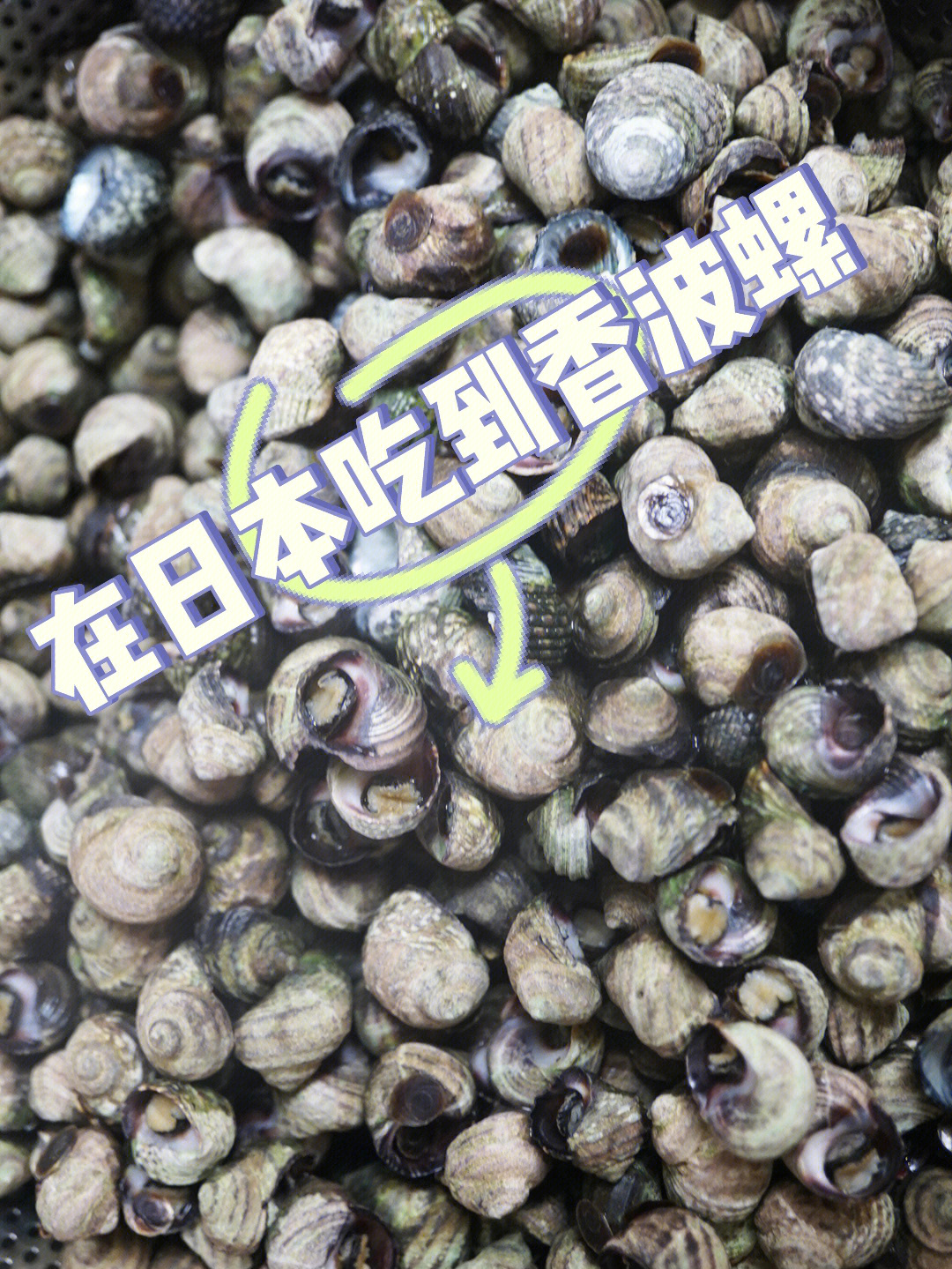 螺食用方法图片