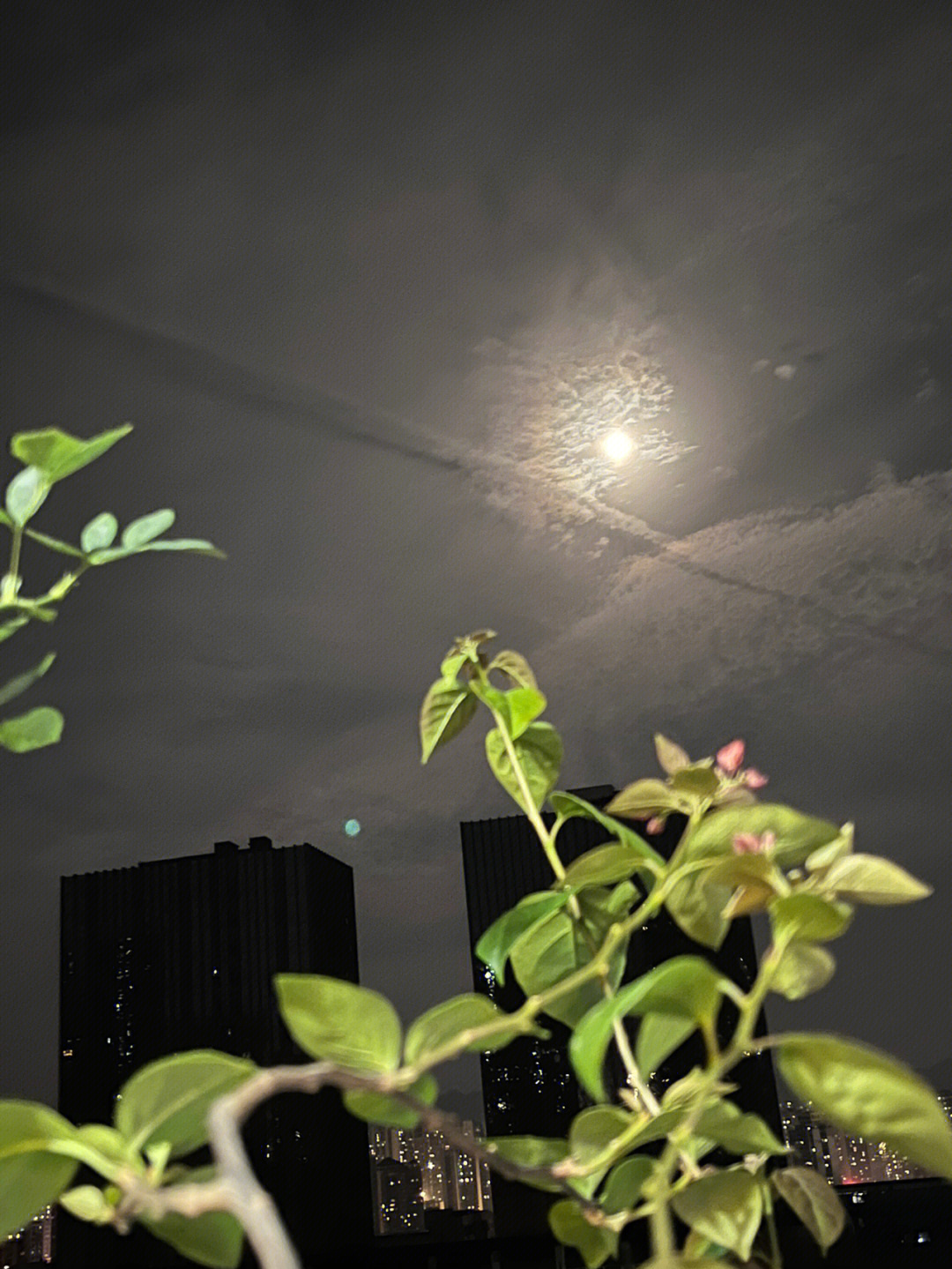 听说今晚有超级月亮,在阳台正好看见