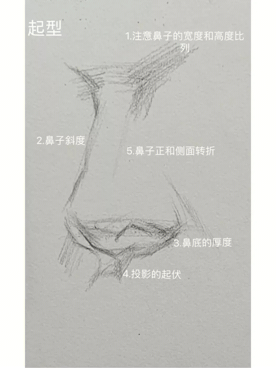 素描鼻子的画法步骤图图片