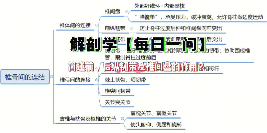 人体关节思维导图图片