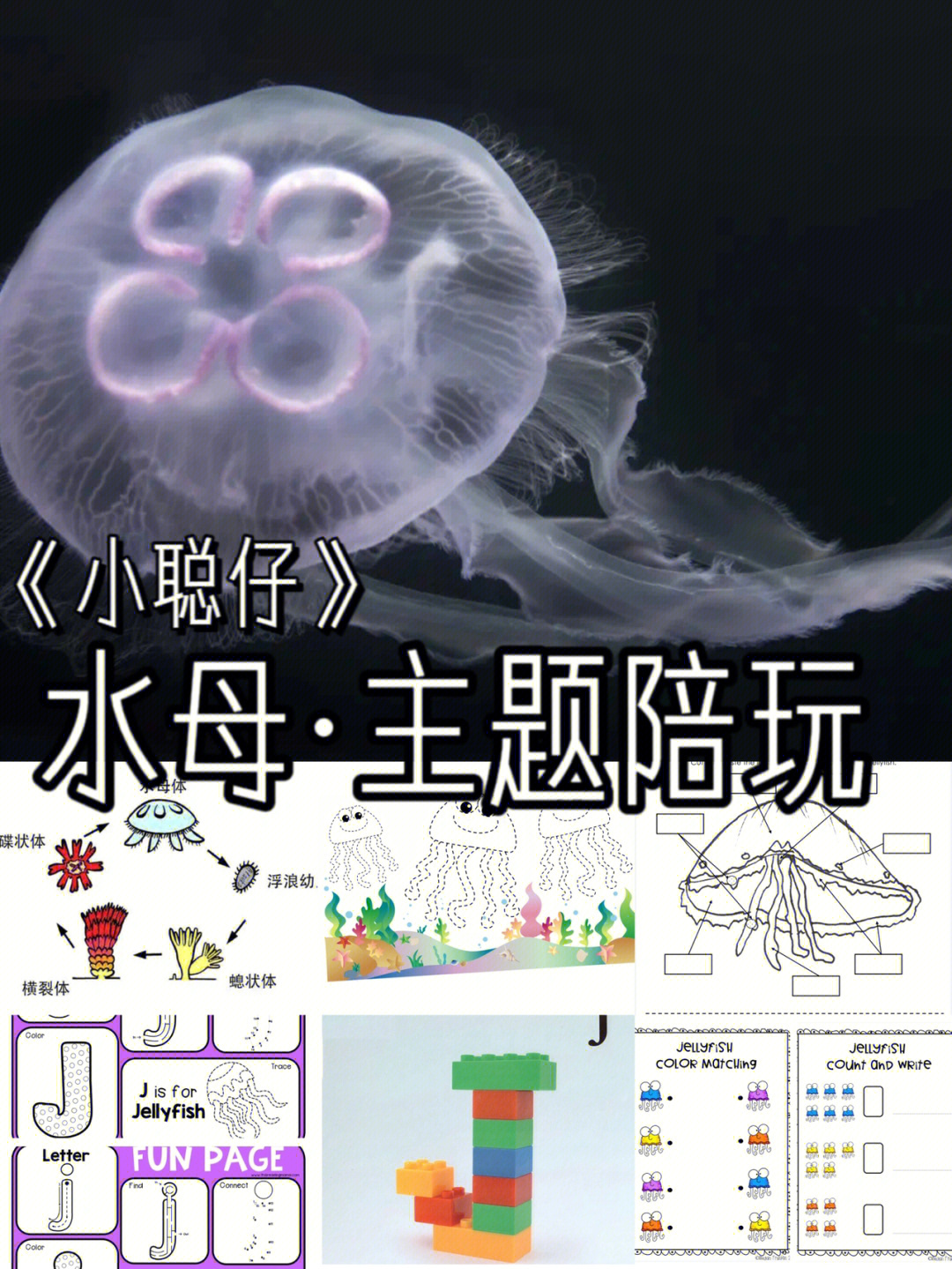 水母手工教案图片