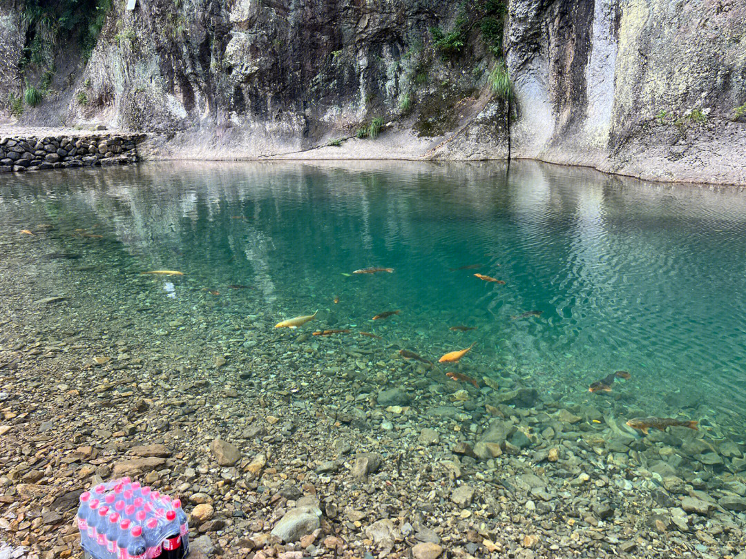 仙居淡竹玩水游泳