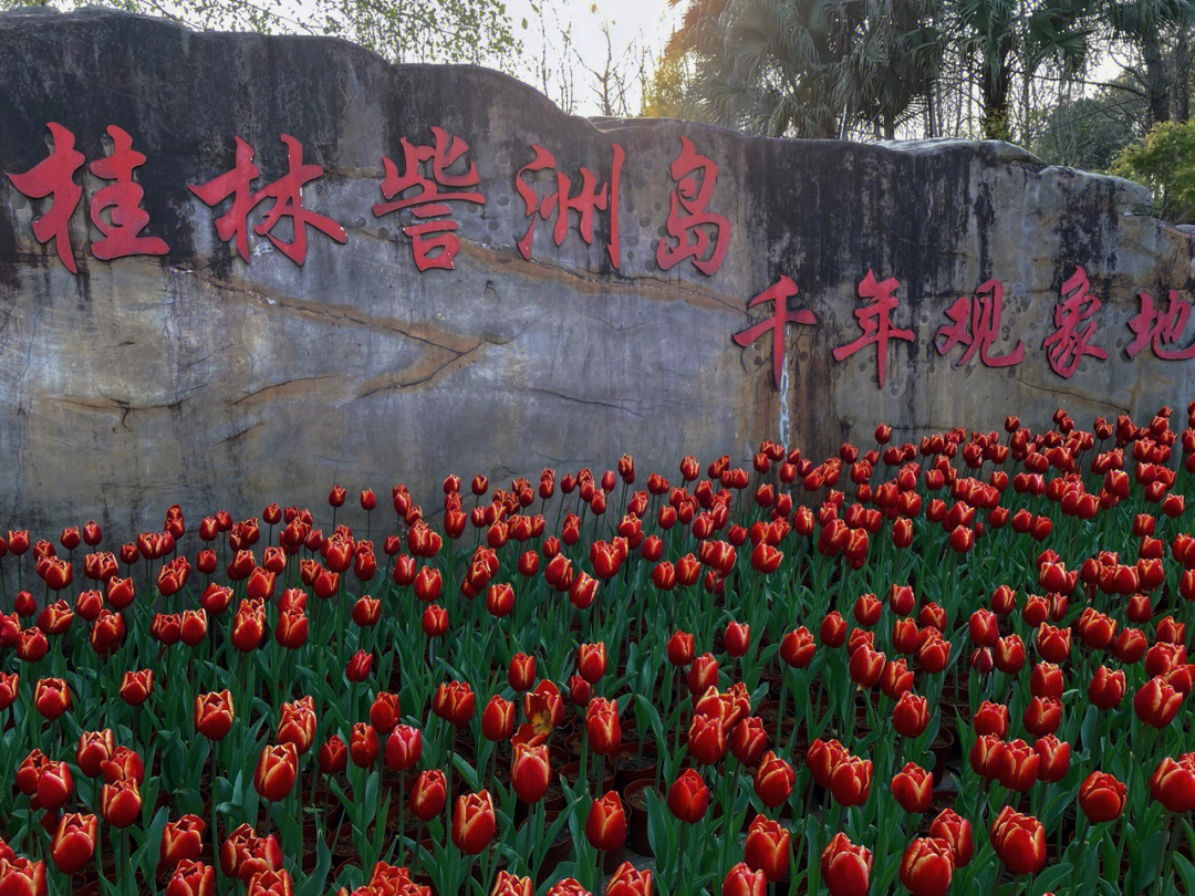桂林市民广场现象图片