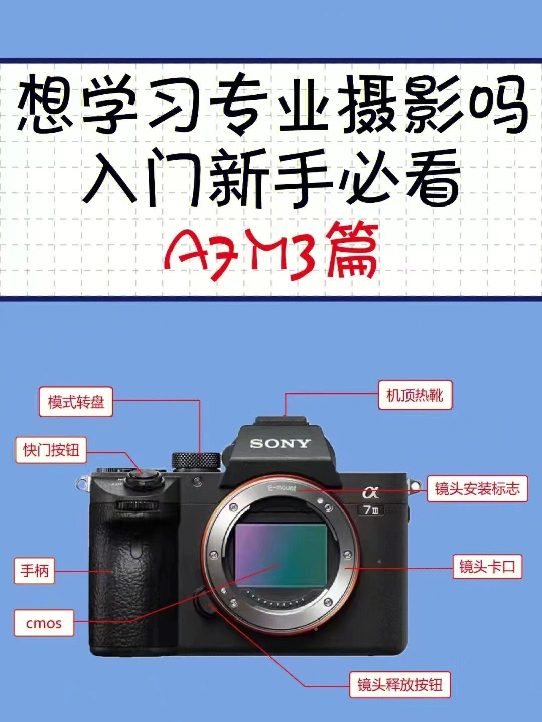 索尼相机怎么使用图解图片