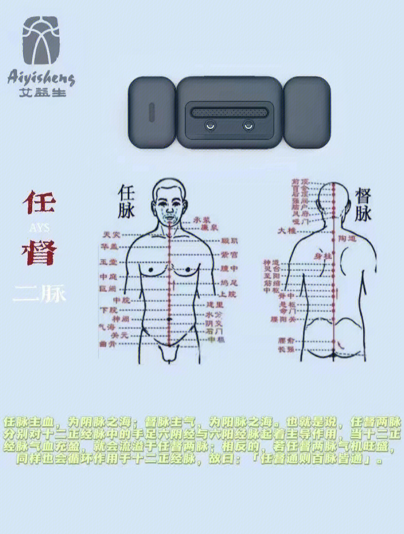 十二经络走向简易图图片