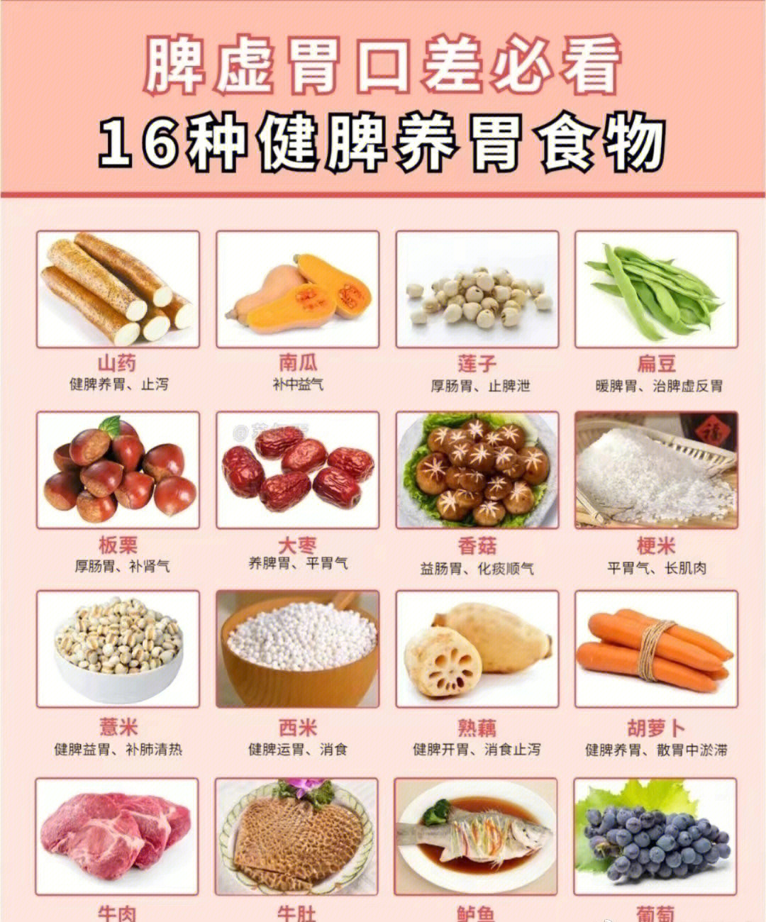 脾虚吃什么食物补最快图片