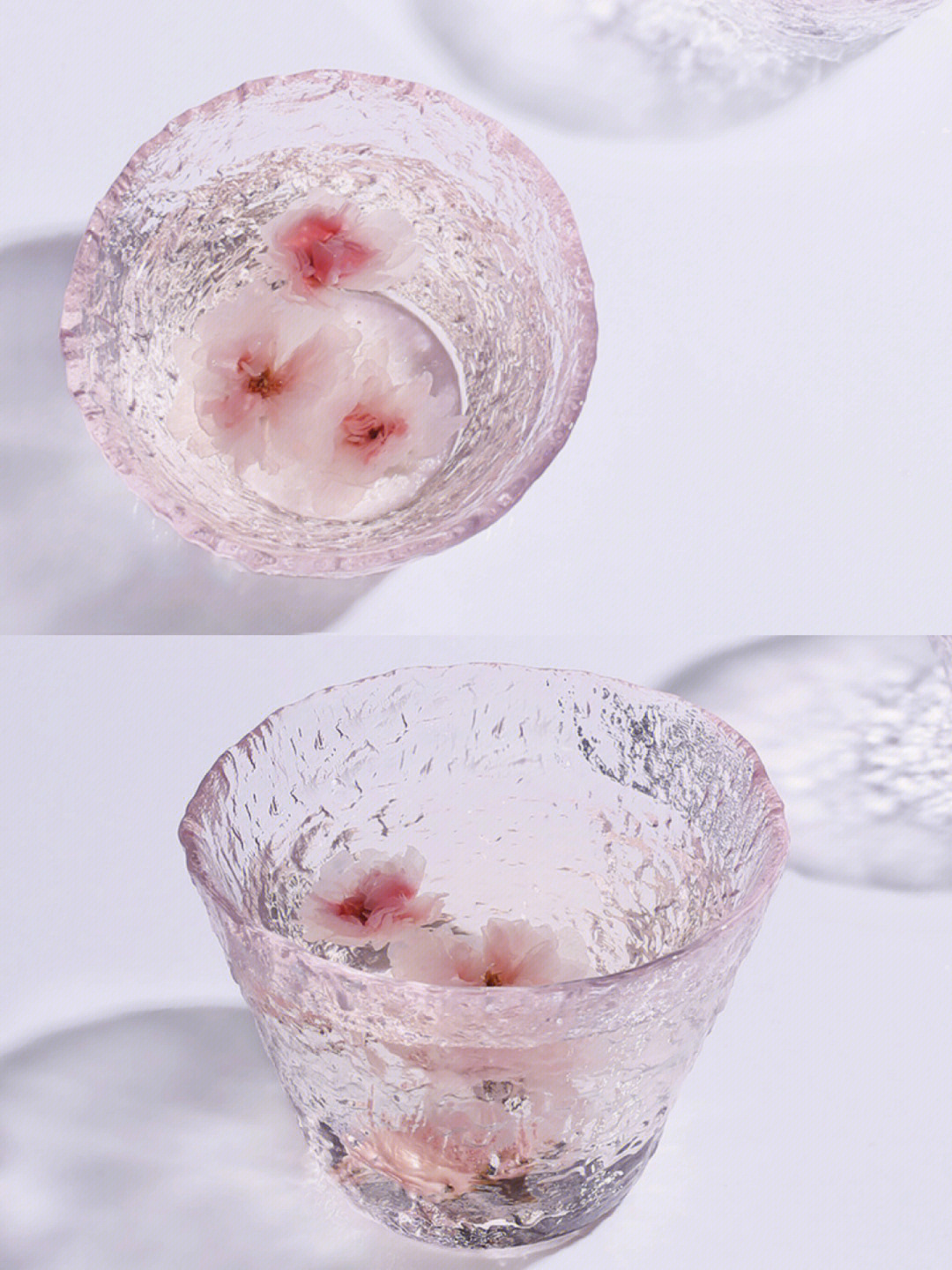 蘑菇和杯子樱花图片